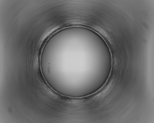 X0000113530782200910091222