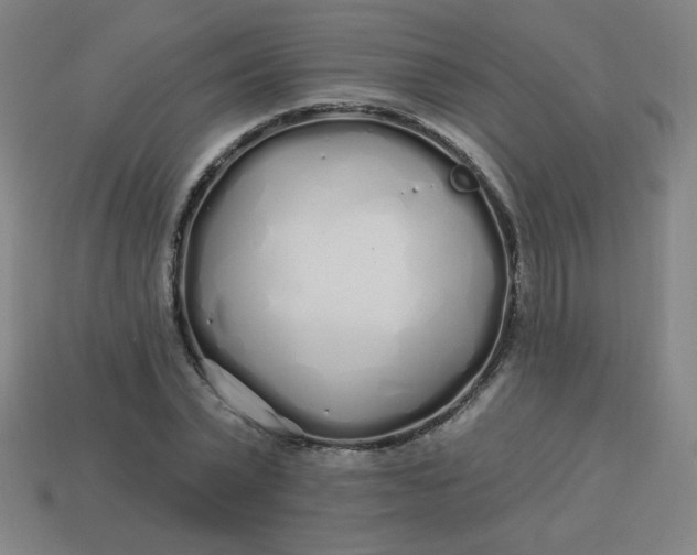 X0000113530783200910091222