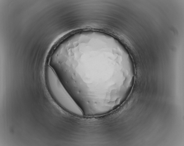 X0000113530784200910091222