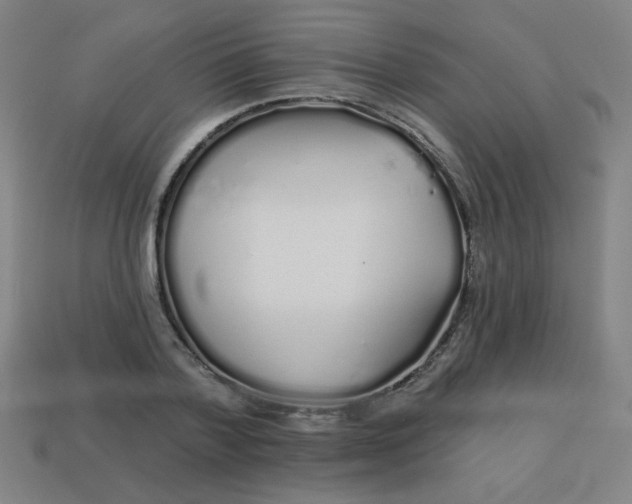 X0000113530788200910091222