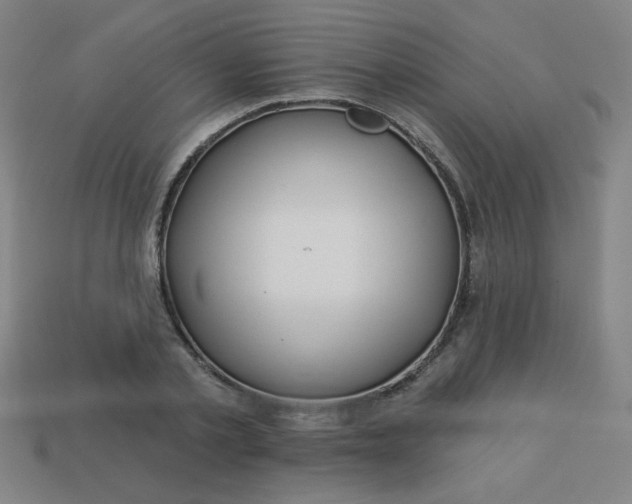 X0000113530789200910091222