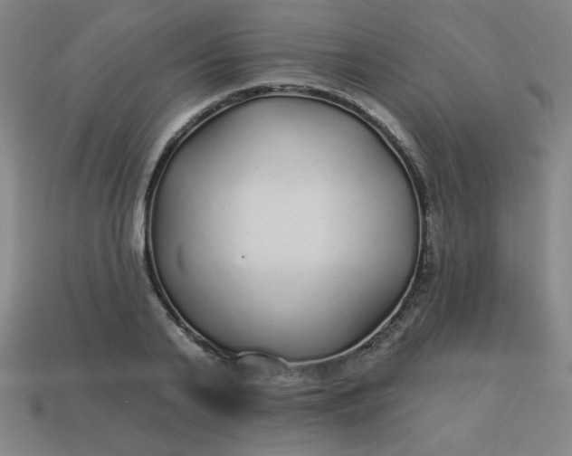 X0000113530791200910091222