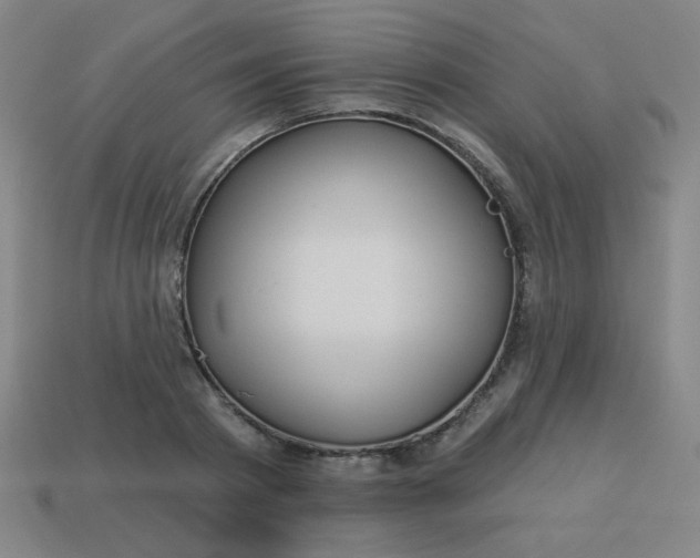 X0000113530793200910091222