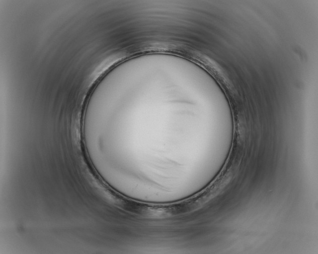 X0000113530794200910091222