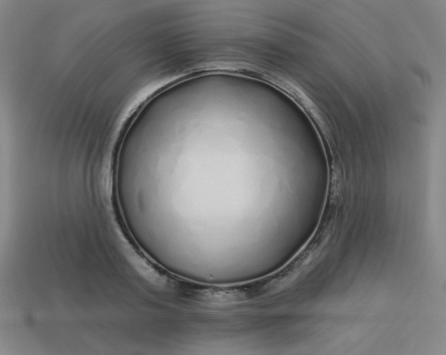 X0000113530795200910091222