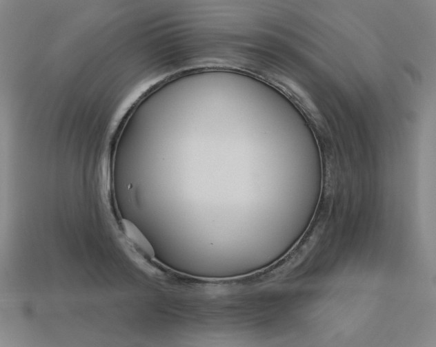 X0000113530796200910091222