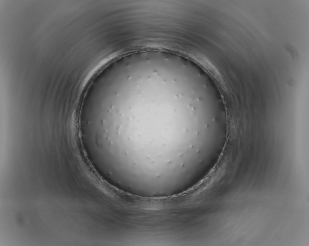 X0000113530798200910091222