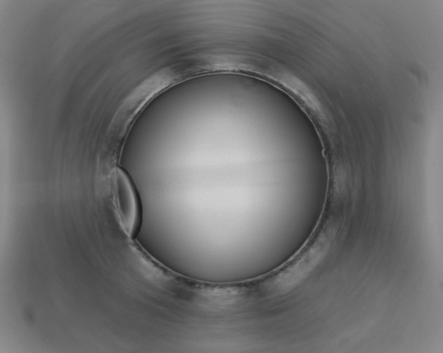 X0000113530801200910091222