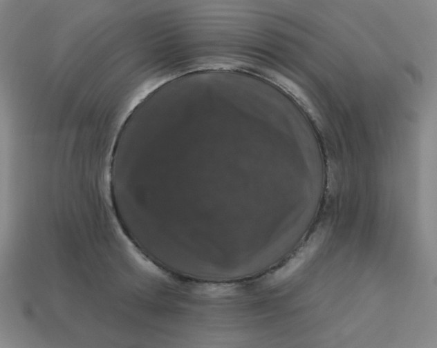 X0000113530802200910091222