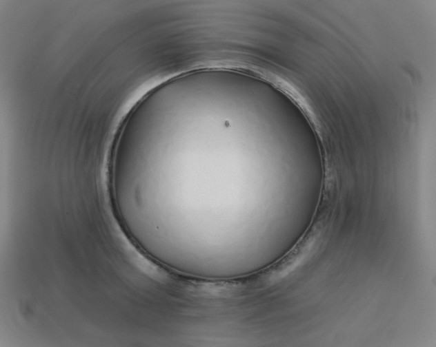 X0000113530803200910091222