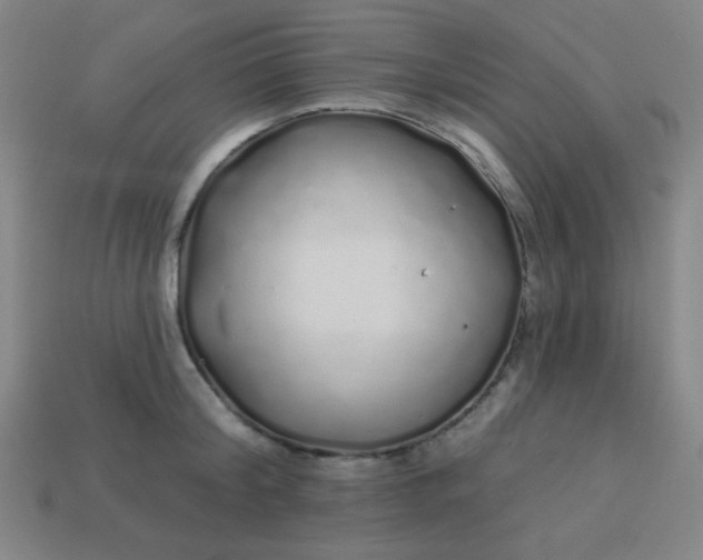 X0000113530804200910091222