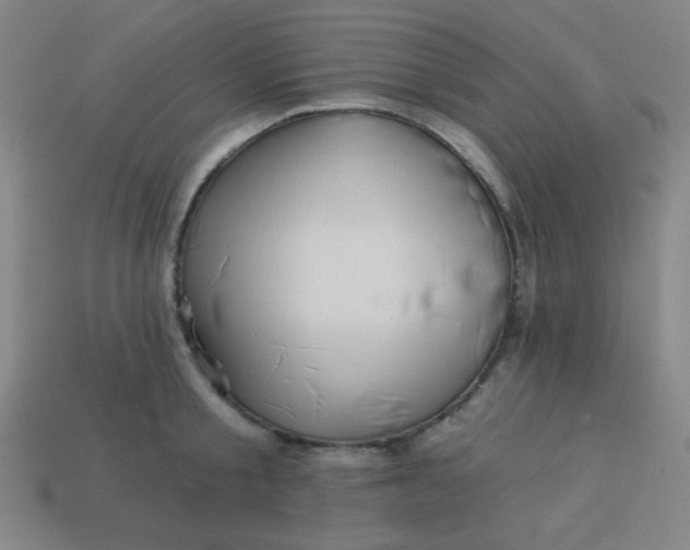 X0000113530805200910091222