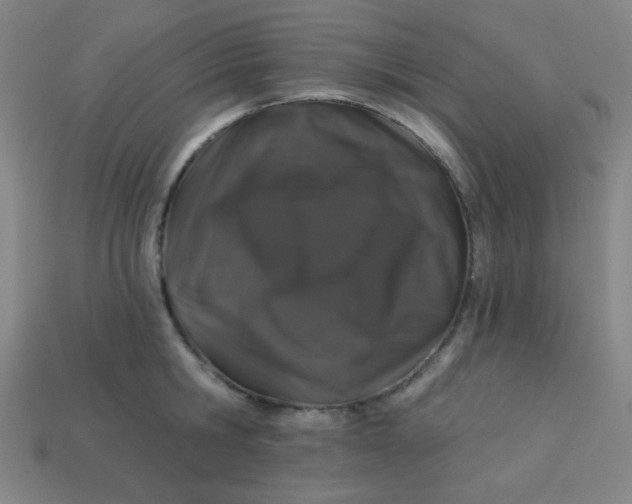 X0000113530806200910091222