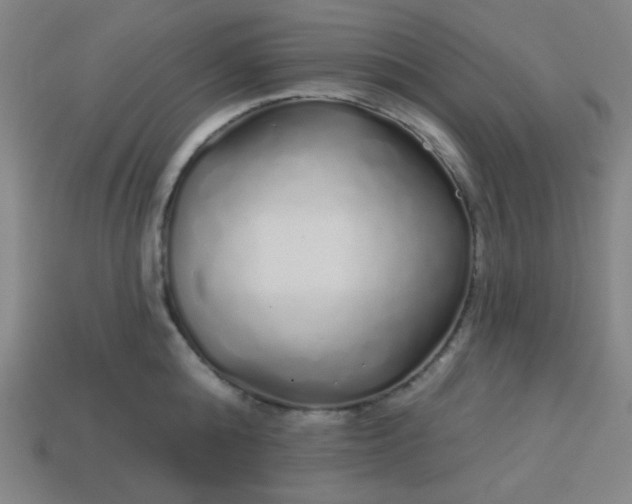 X0000113530808200910091222