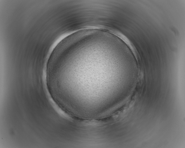 X0000113530811200910091222