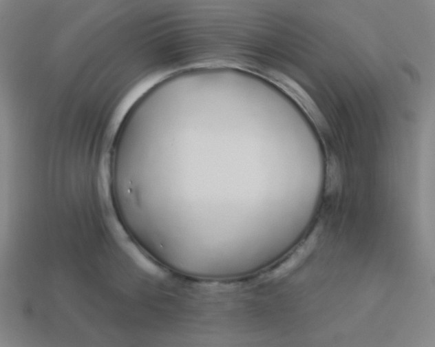 X0000113530812200910091222