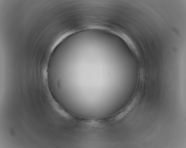 X0000113530814200910091222