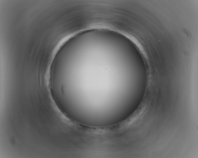 X0000113530815200910091222