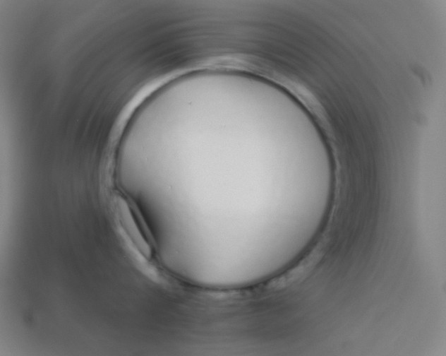 X0000113530816200910091222