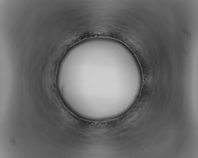 X0000113530817200910091221