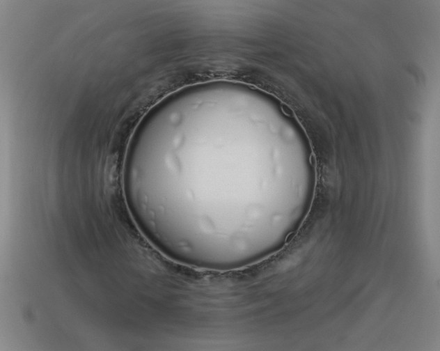 X0000113530818200910091221