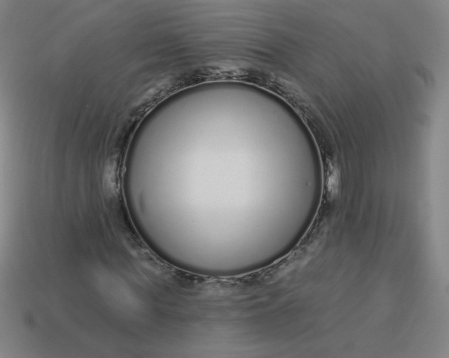 X0000113530819200910091221