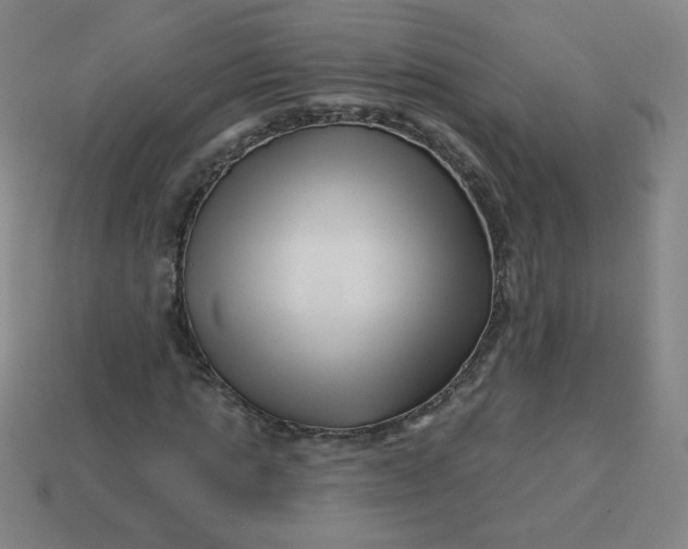 X0000113530821200910091221