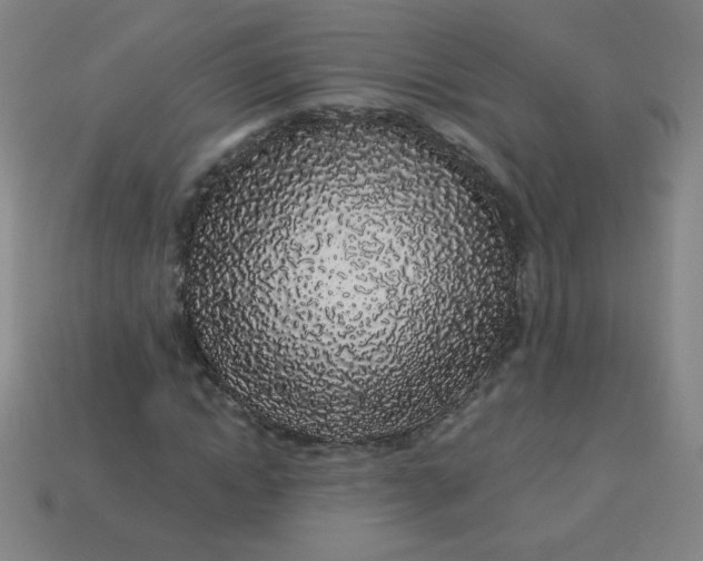 X0000113530822200910091221