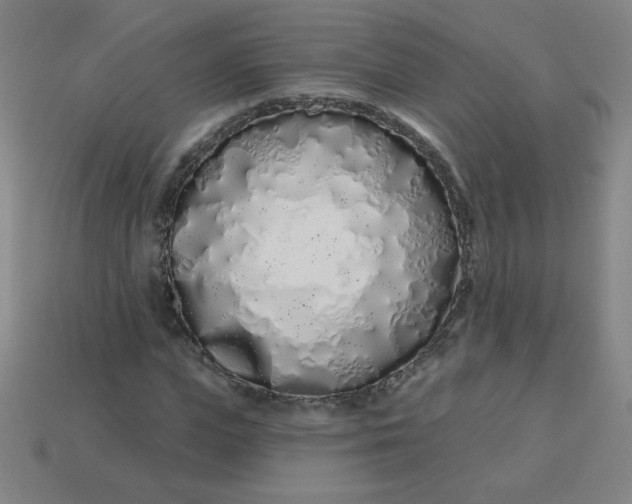 X0000113530823200910091221