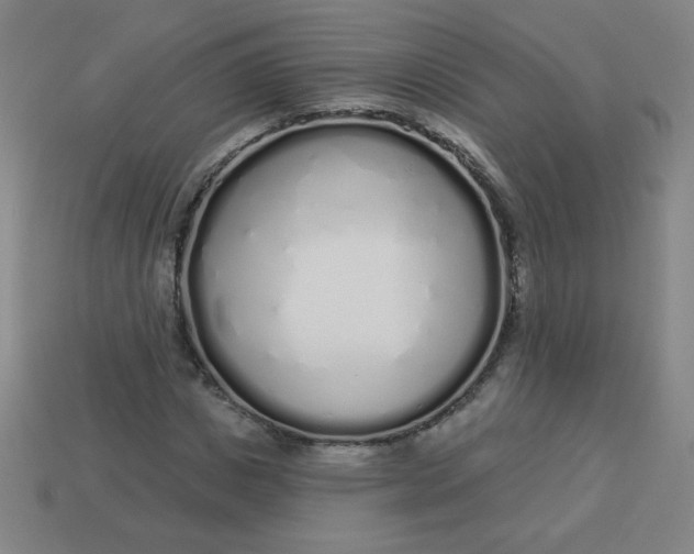 X0000113530825200910091221