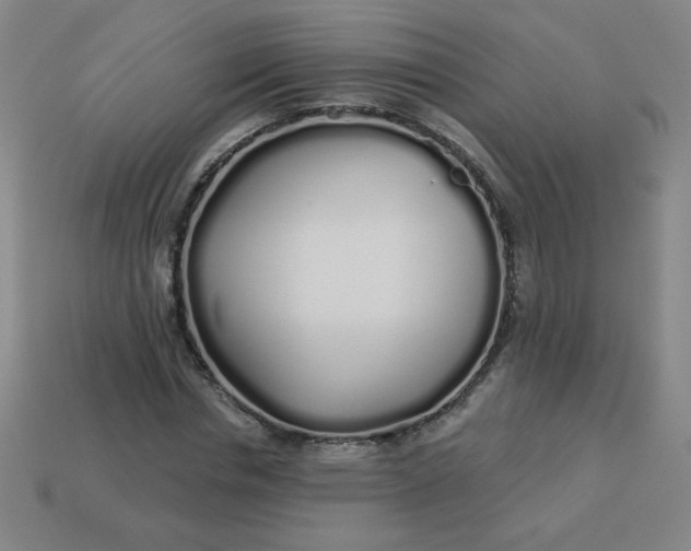 X0000113530826200910091221