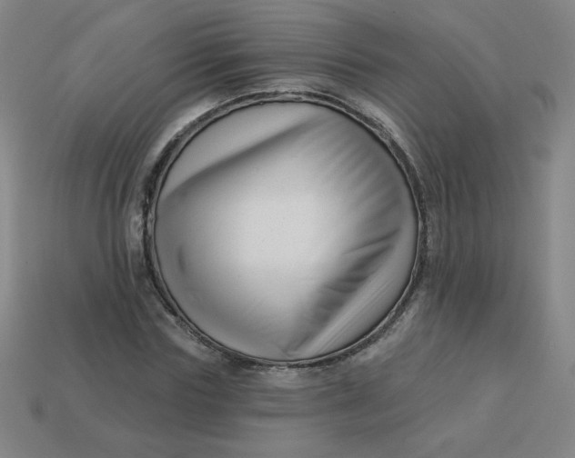 X0000113530827200910091221