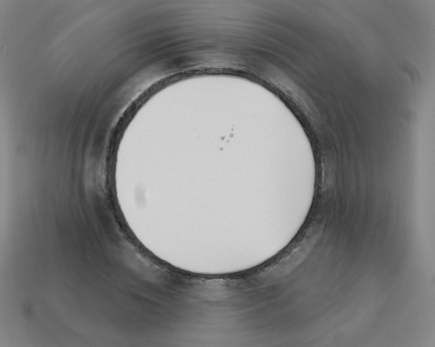 X0000113530828200910091221