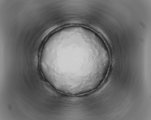 X0000113530829200910091221