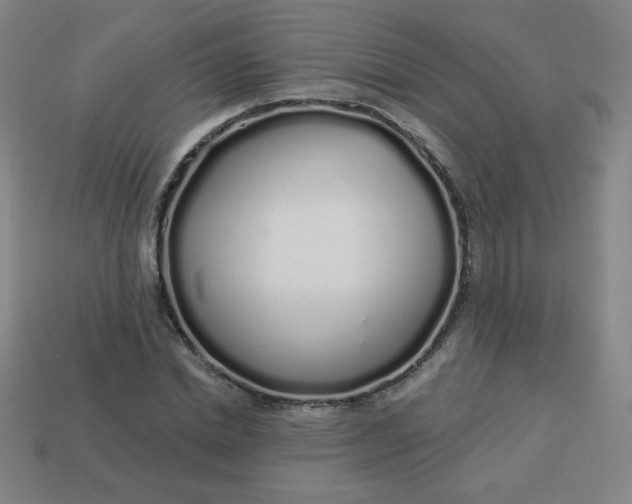 X0000113530830200910091221