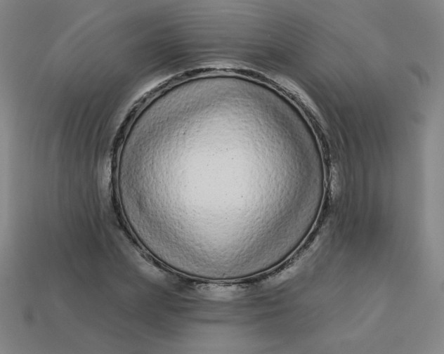 X0000113530831200910091221