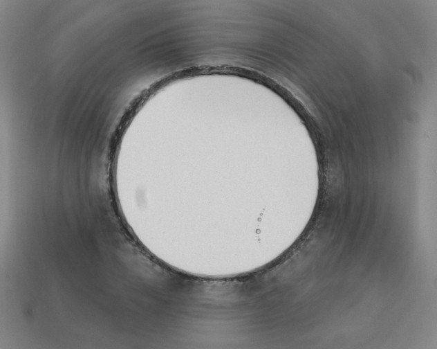 X0000113530832200910091221