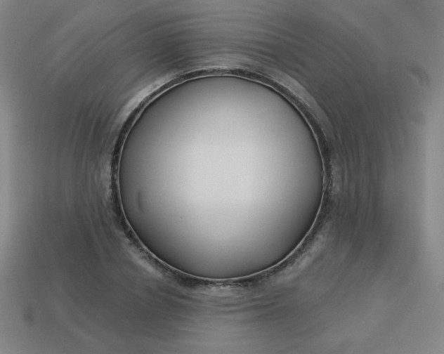 X0000113530834200910091221