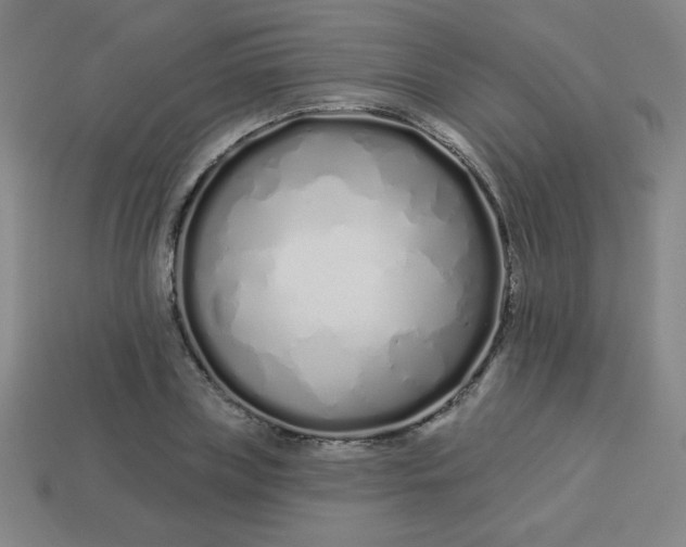 X0000113530835200910091221