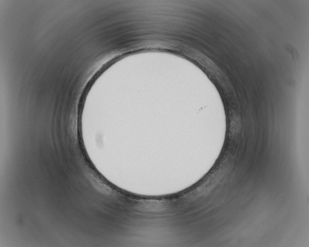 X0000113530836200910091221