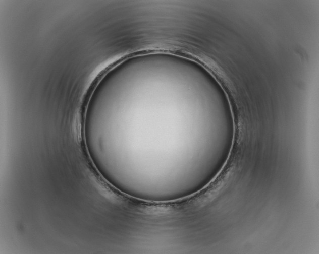 X0000113530838200910091221