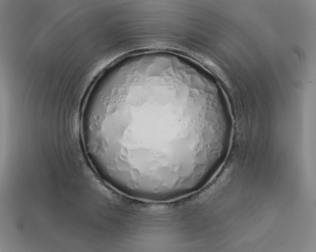 X0000113530839200910091221