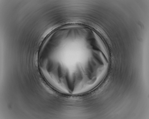 X0000113530842200910091221