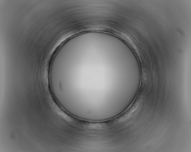 X0000113530843200910091221