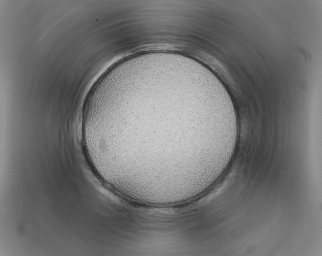 X0000113530844200910091221