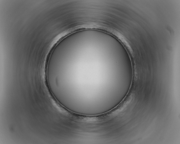 X0000113530845200910091221