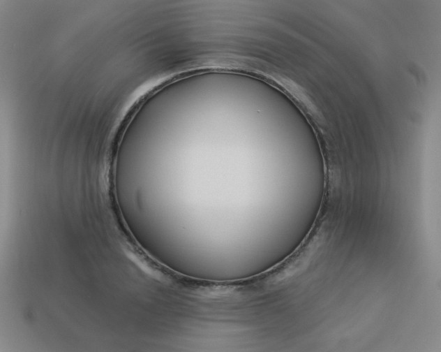 X0000113530846200910091221