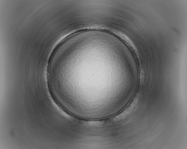 X0000113530847200910091221