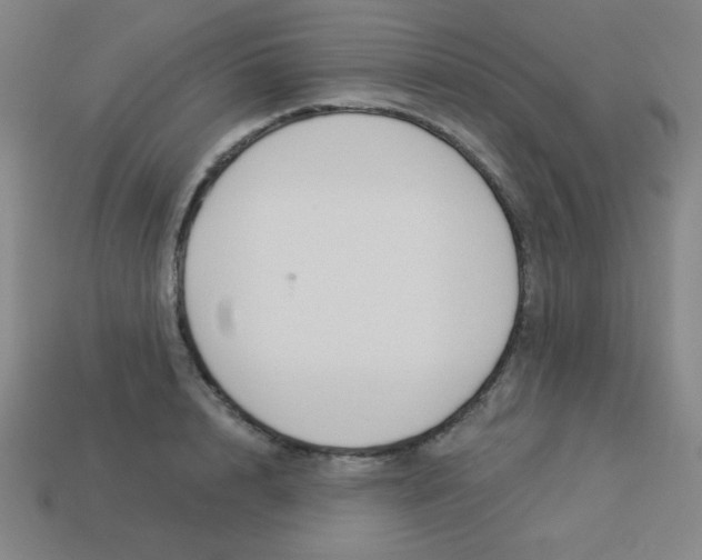 X0000113530848200910091221