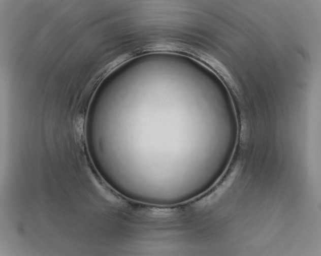 X0000113530849200910091221